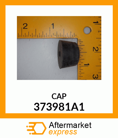 CAP 373981A1