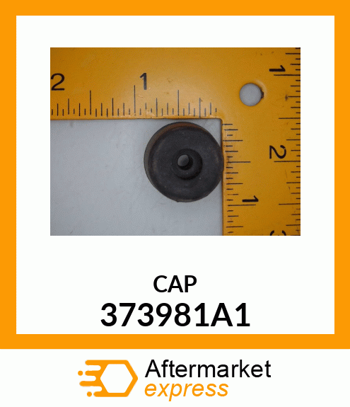 CAP 373981A1