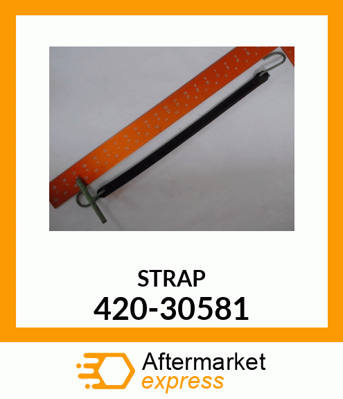 STRAP 420-30581