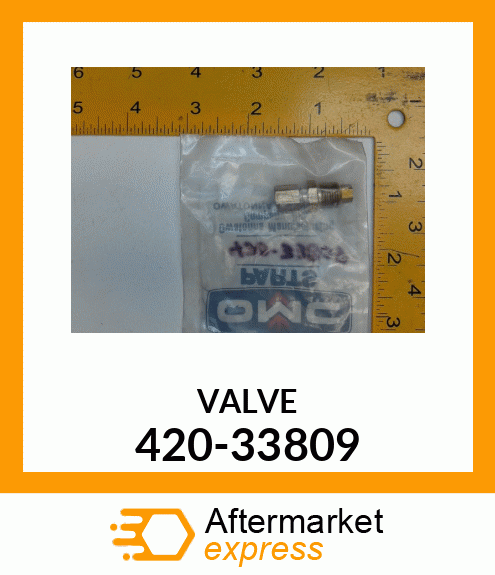 VALVE 420-33809