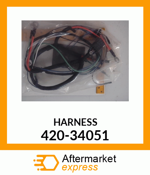 HARNESS 420-34051