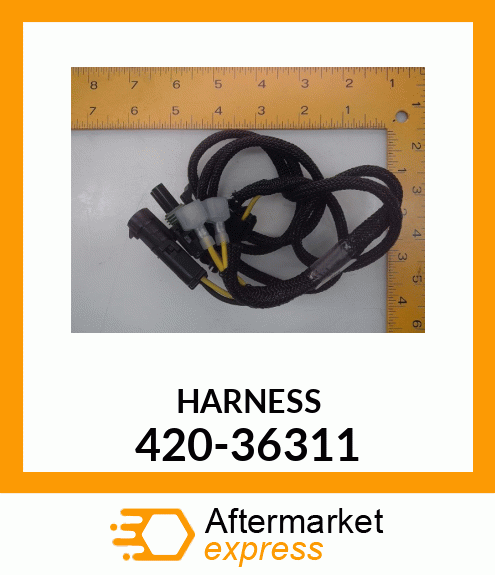 HARNESS 420-36311