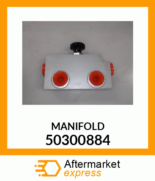 MANIFOLD 50300884