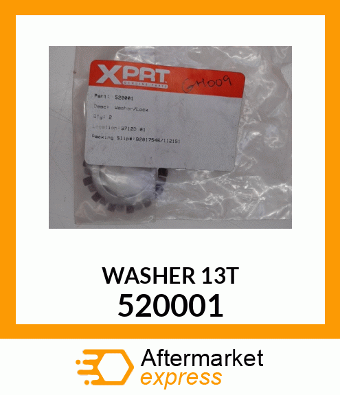 WASHER_13T 520001