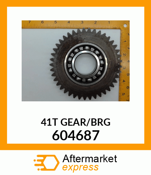 41T_GEAR/BRG 604687