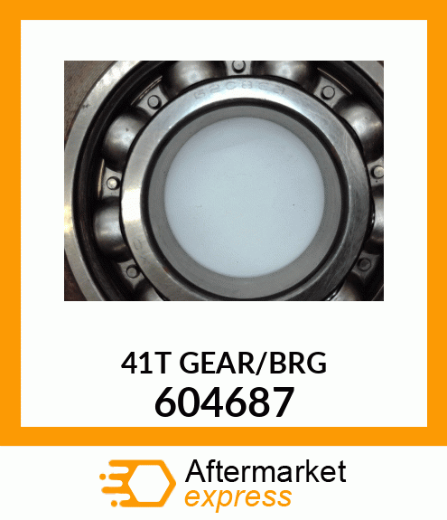 41T_GEAR/BRG 604687