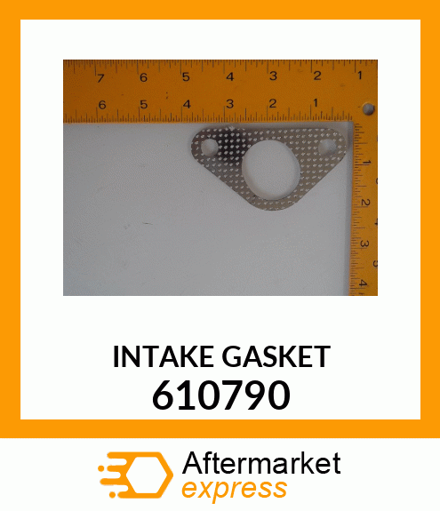 INTAKE_GASKET 610790