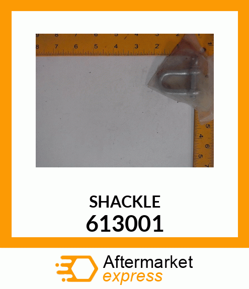 SHACKLE 613001