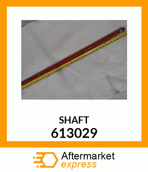 SHAFT 613029