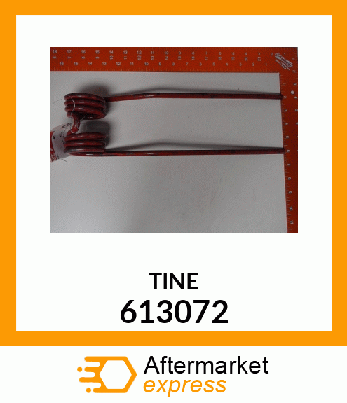 TINE 613072