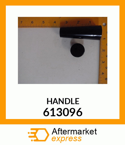 HANDLE 613096