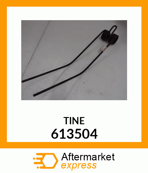 TINE 613504