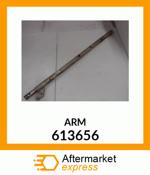 ARM 613656