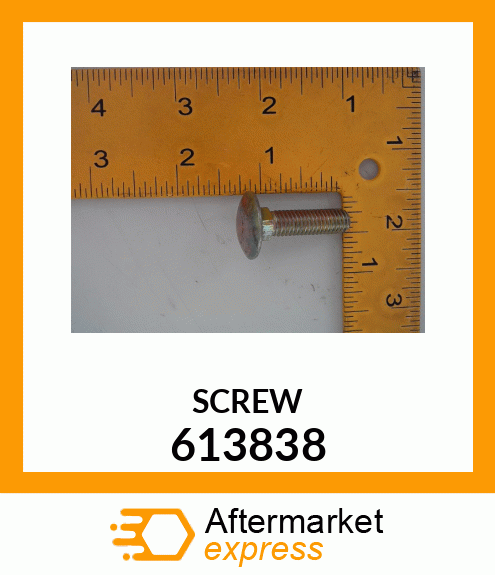 SCREW 613838