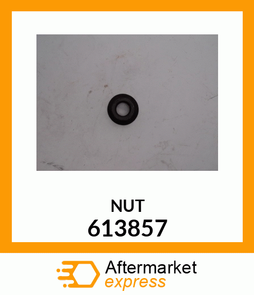 NUT 613857