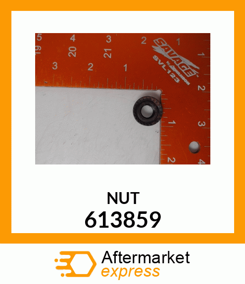 NUT 613859