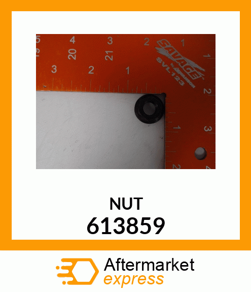 NUT 613859