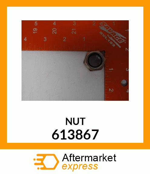 NUT 613867