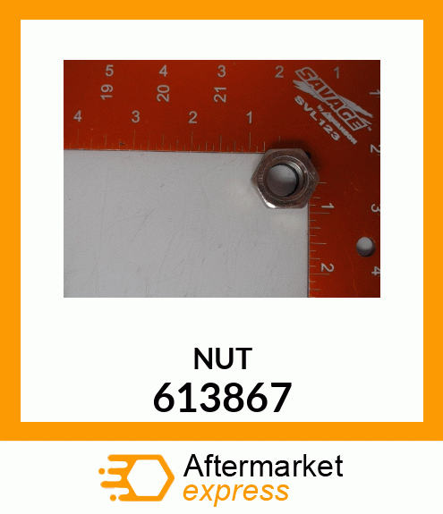 NUT 613867