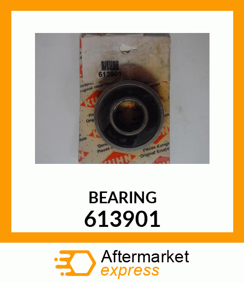 BEARING 613901