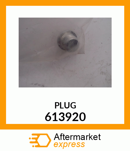 PLUG 613920