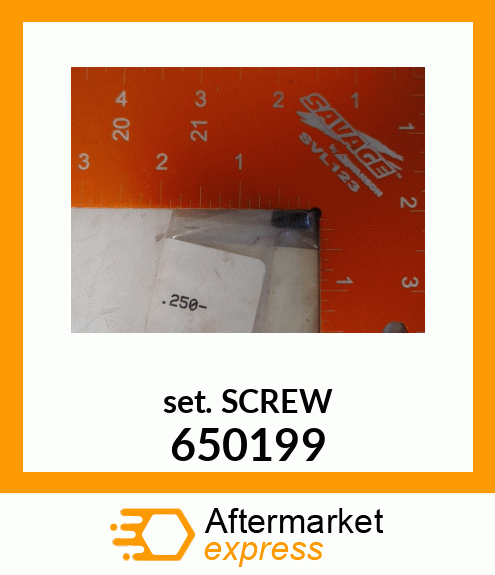 SET_SCREW 650199