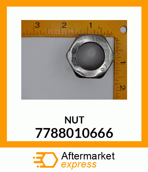 NUT 7788010666