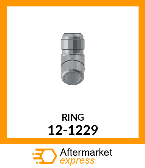 RING 12-1229