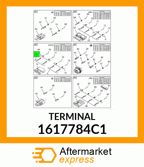 TERMINAL 1617784C1