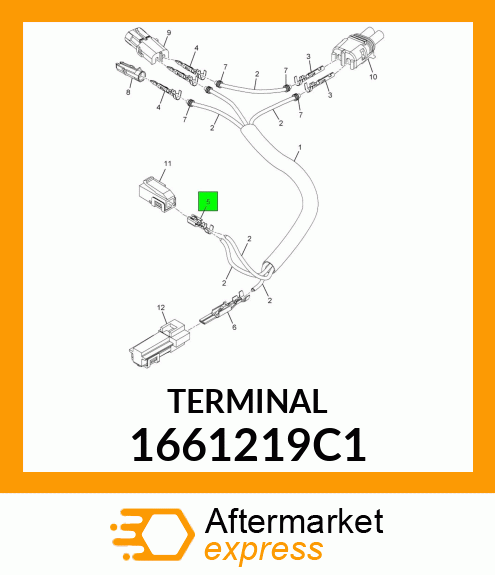 TERMINAL 1661219C1