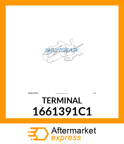 TERMINAL 1661391C1