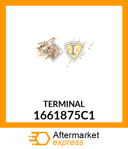 TERMINAL 1661875C1