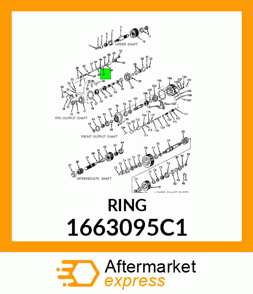 RING 1663095C1