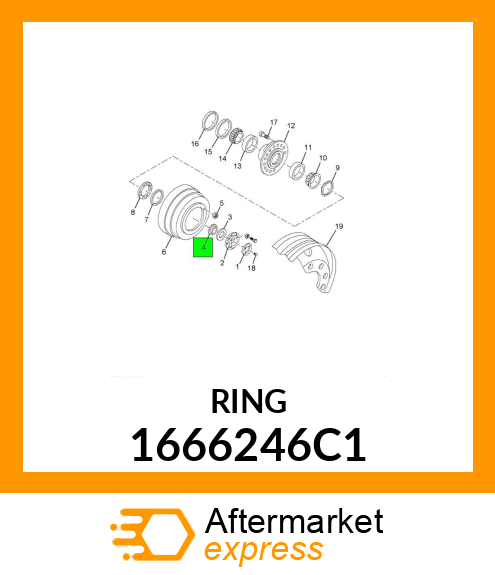 RING 1666246C1