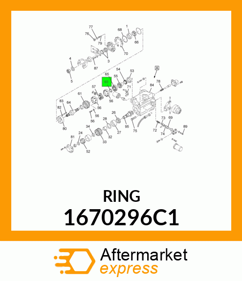 RING 1670296C1