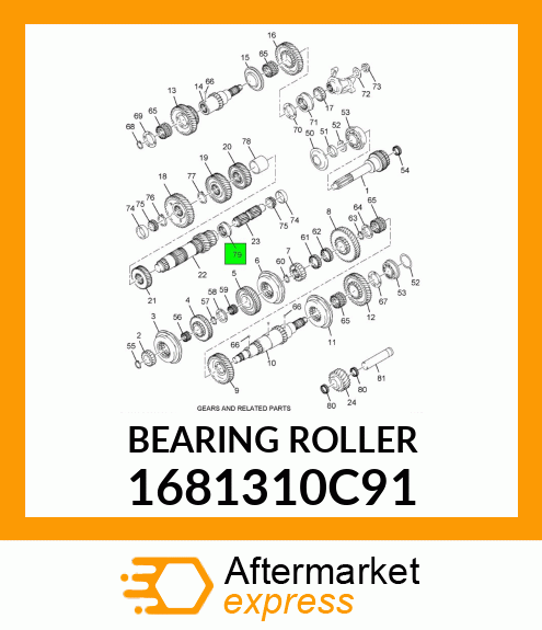 BEARING_ROLLER_ 1681310C91