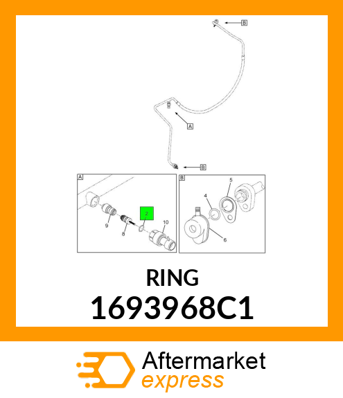 RING 1693968C1