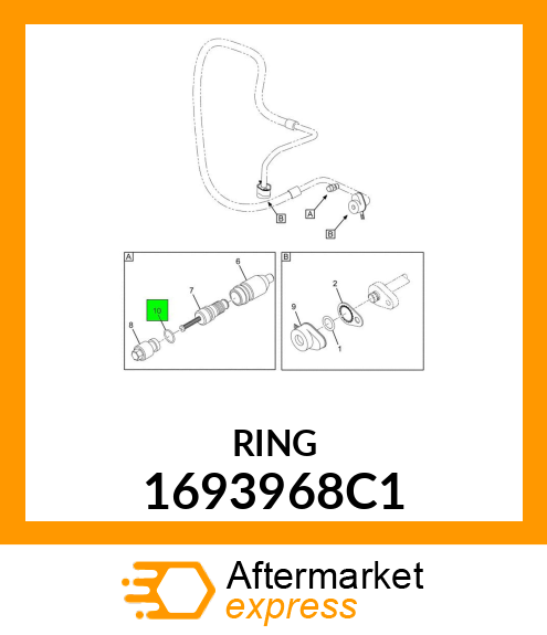 RING 1693968C1