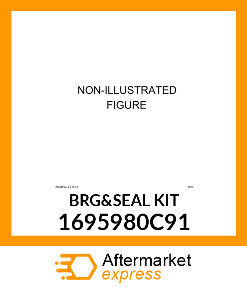 BRG&SEALKIT 1695980C91