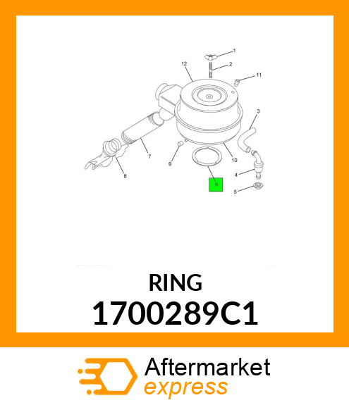 RING 1700289C1