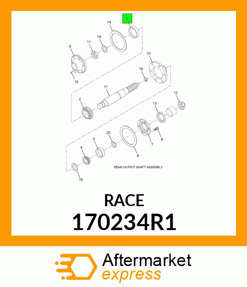 RACE 170234R1