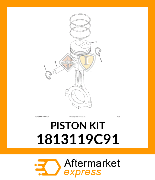 PISTONKIT 1813119C91