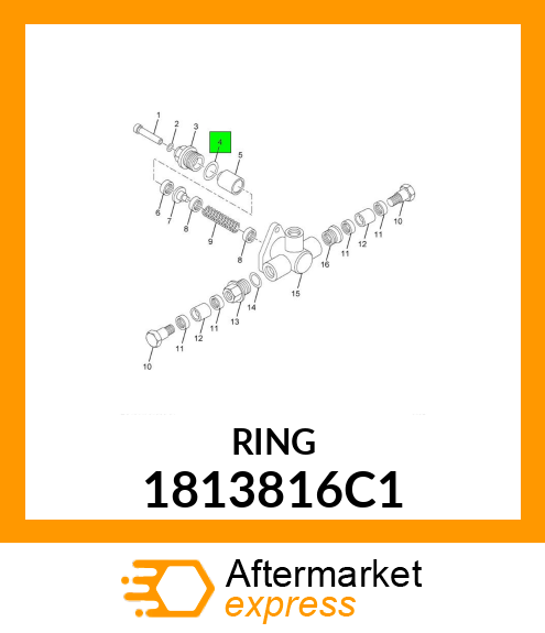 RING 1813816C1