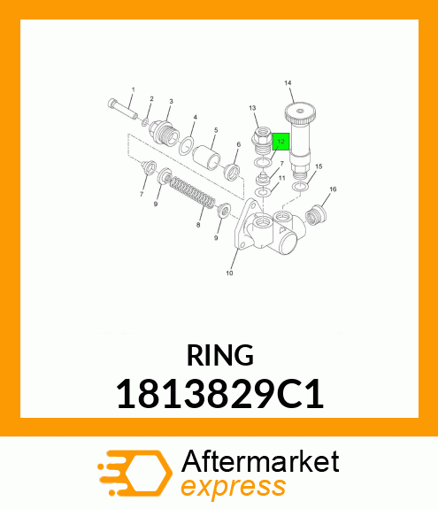 RING 1813829C1