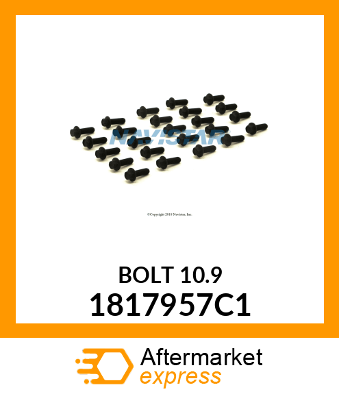 BOLT10.9 1817957C1