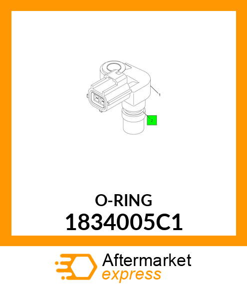 O-RING 1834005C1