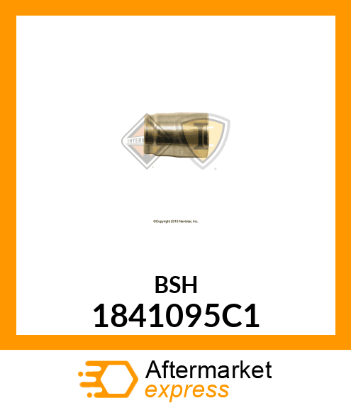 BSH 1841095C1