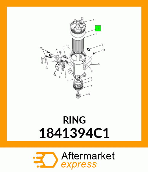 RING 1841394C1