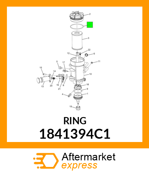 RING 1841394C1