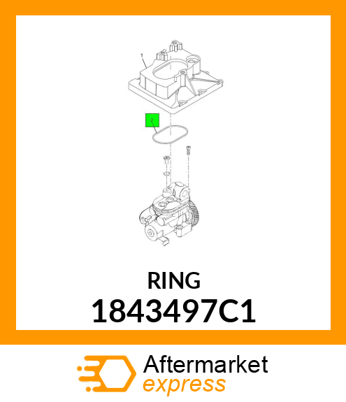 RING 1843497C1